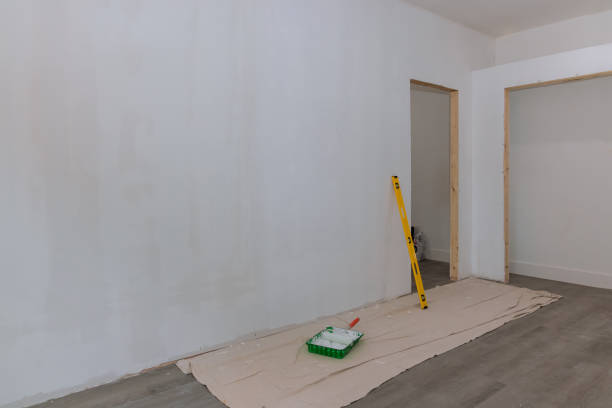 Best Repainting for Renovations  in Morrice, MI